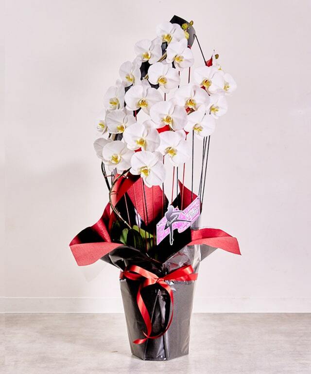 【らんや】彩華のワルツ／デュエット