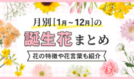 月別（1～12月）の誕生花一覧と花言葉・特徴まとめ｜Bloom Note