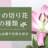 ユリの切り花の種類　代表的な品種や特徴を紹介