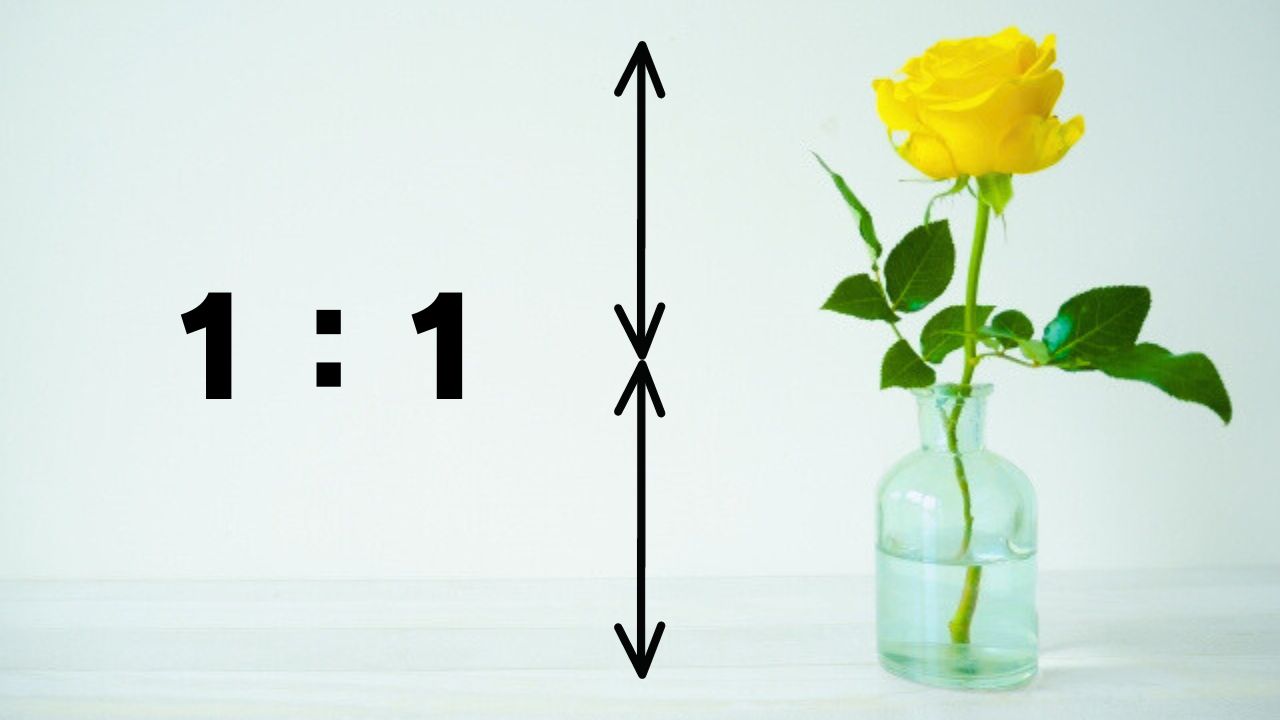花瓶の大きさと花の長さが1：1になるように飾る