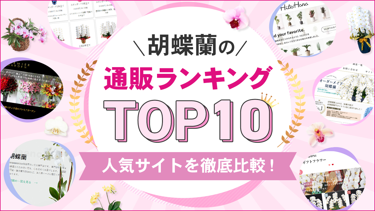 胡蝶蘭の通販ランキングTOP10【人気サイトを徹底比較】