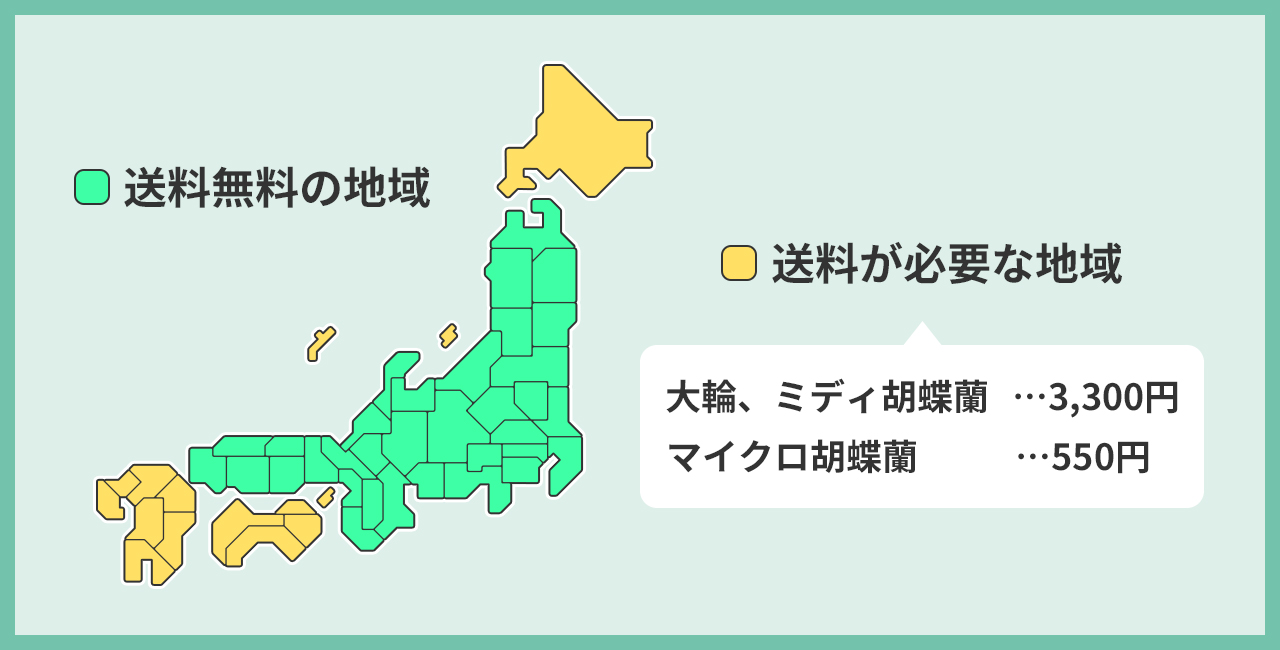 本州：送料無料／北海道・四国・九州・沖縄・離島は送料が必要