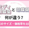 「ミディ胡蝶蘭」と「胡蝶蘭」何が違う？花のサイズ・価格帯を比較