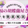 幸福の胡蝶蘭屋さんを解説！選ばれる理由や購入できる品種、おすすめ胡蝶蘭を紹介