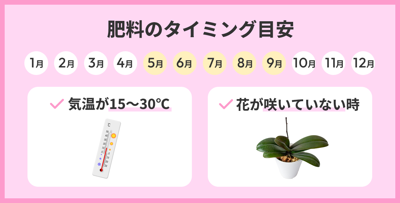 肥料のタイミング目安