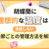 胡蝶蘭に理想的な温度は？失敗しない季節ごとの管理方法を解説