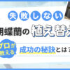 失敗しない胡蝶蘭の植え替え　プロが教える成功の秘訣とは？