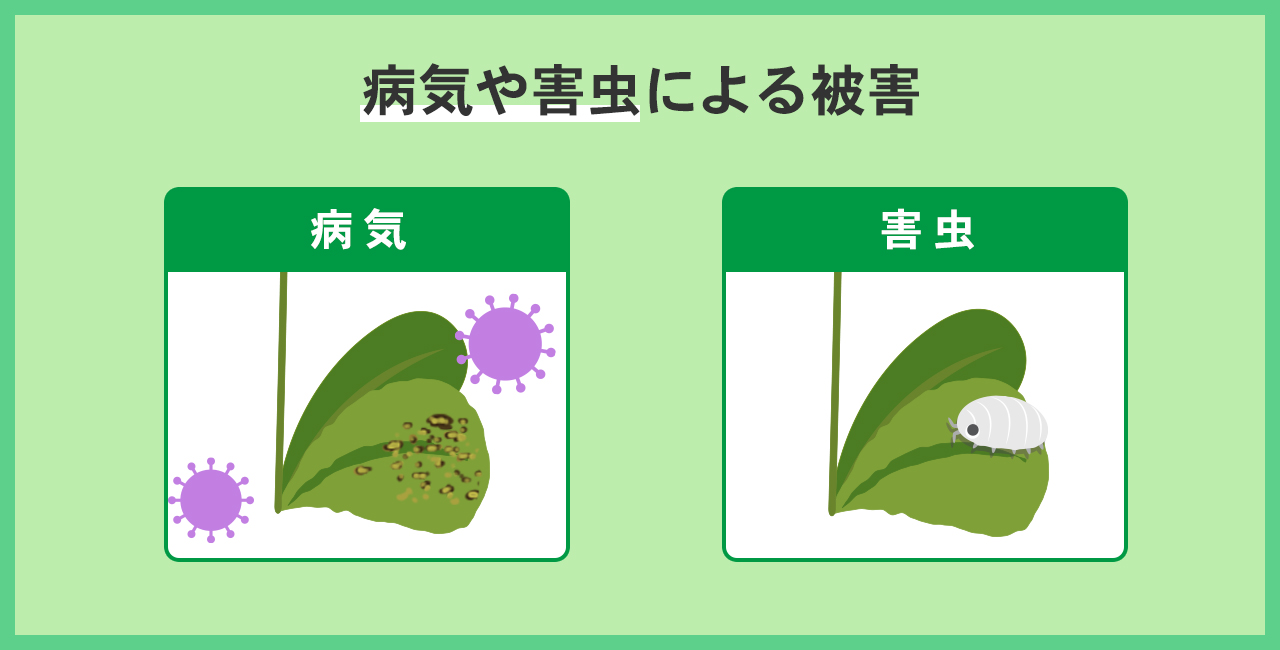 病気や害虫による被害