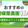 おすすめの胡蝶蘭農園16選「見学や直売のメリットと農園の選び方を解説」