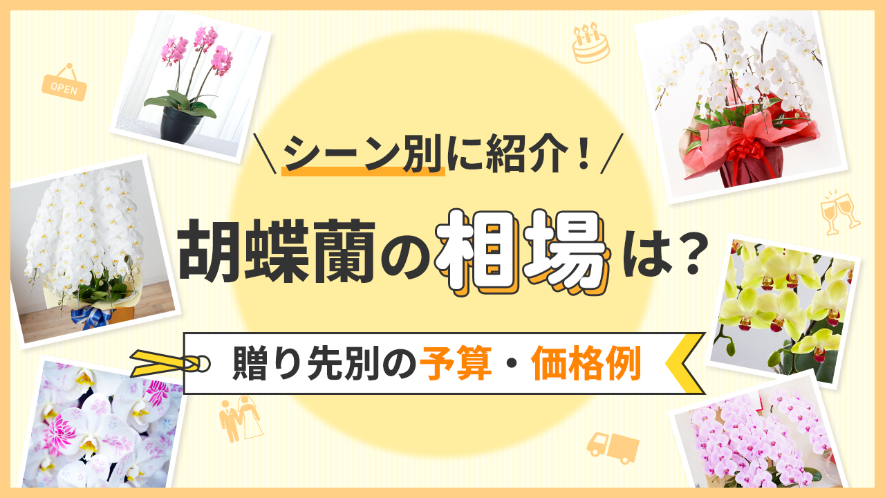 シーン別に紹介！胡蝶蘭の相場は？送り先別の予算・価格例