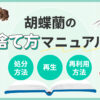 胡蝶蘭の捨て方マニュアル「処分方法・再生・再利用の方法」