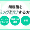 胡蝶蘭をコルク付けする方法「メリットデメリット・準備する道具・手順」を解説