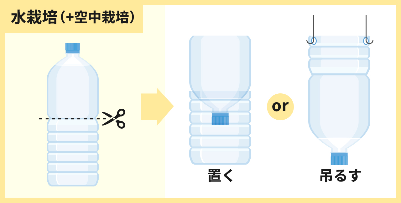 水栽培+空中栽培