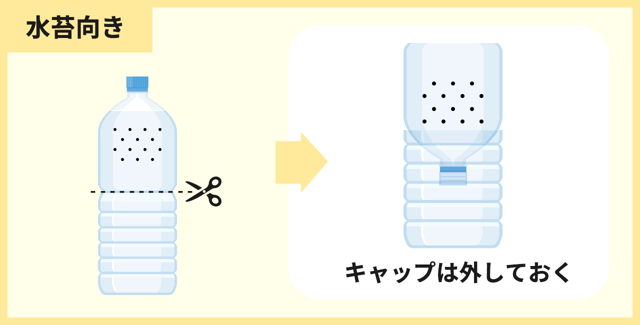 ペットボトルの頭に植える場合（水苔向き）