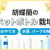 胡蝶蘭のペットボトル栽培「水栽培のやり方」「水苔、バークの植え替え」