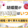 胡蝶蘭が安い時期はいつ？価格相場・安く買える通販を紹介