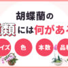 胡蝶蘭の種類には何がある？サイズ・色・本数・品種別に解説